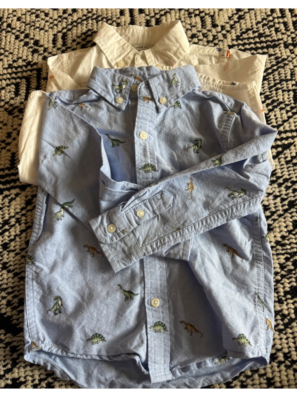 Janie and Jack Toddler Shirt Bundle, 2T
